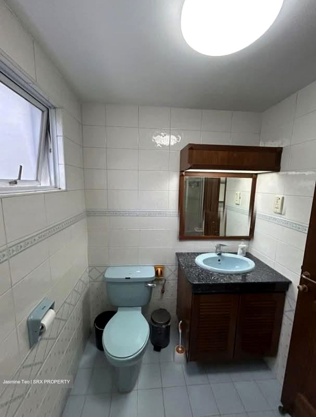 Bukit Timah Road (D10), Terrace #571762831